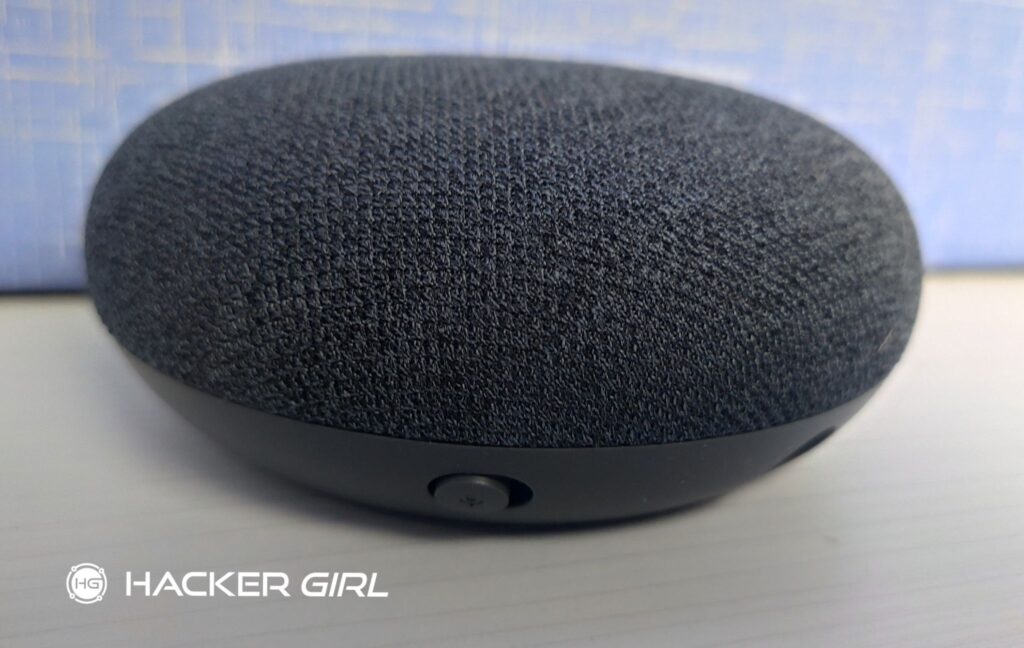 Google Nest Mini