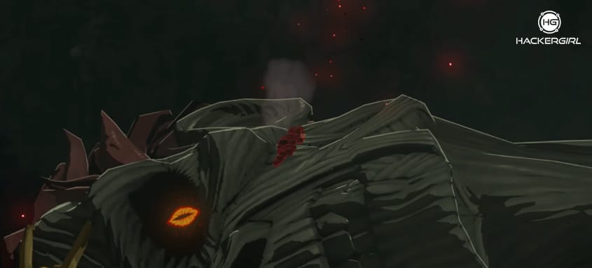 The Legend of Zelda Tears of the Kingdom