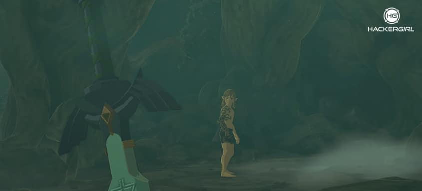 The Legend of Zelda Tears of the Kingdom